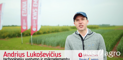 Susitikime parodoje Agrovizija 2019! (Andrius) Susitikime parodoje Agrovizija 2019! (Andrius)