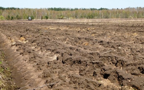 Svarbiausi lauko darbai lapkričio mėnesį