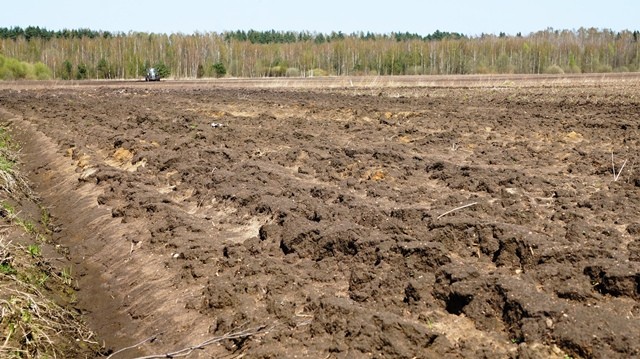 Svarbiausi lauko darbai lapkričio mėnesį