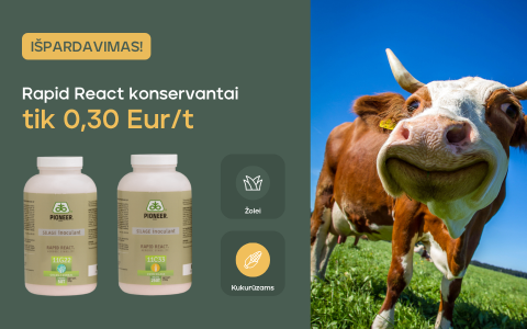 Valome sandėlį: Rapid React konservantai siloso kokybei išlaikyti tik už 0,30 Eur/t.
