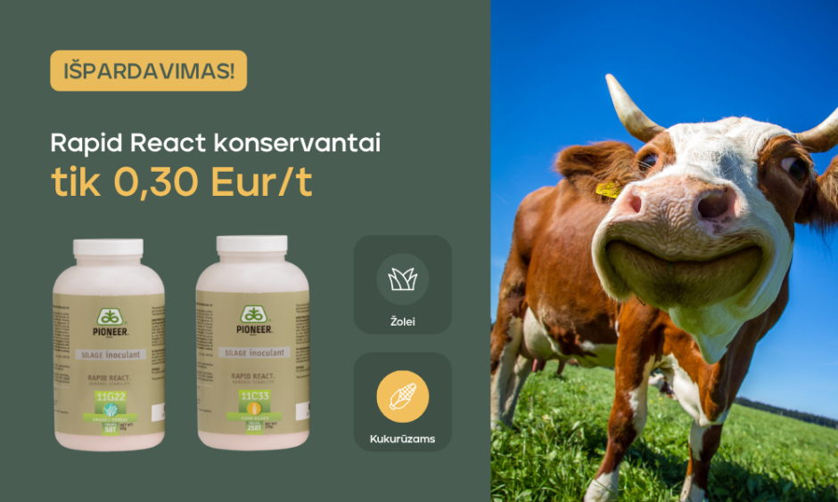 Valome sandėlį: Rapid React konservantai siloso kokybei išlaikyti tik už 0,30 Eur/t.