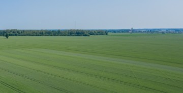 Vasarinių kviečių sėja 2021 m. pavasarį (I): nuo veislių parinkimo iki sėjos ypatumų