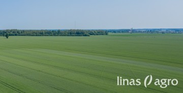 Vasarinių kviečių sėja 2021 m. pavasarį (I): nuo veislių parinkimo iki sėjos ypatumų Vasarinių kviečių sėja 2021 m. pavasarį (I): nuo veislių parinkimo iki sėjos ypatumų