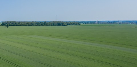 Vasarinių kviečių sėja 2021 m. pavasarį (I): nuo veislių parinkimo iki sėjos ypatumų Vasarinių kviečių sėja 2021 m. pavasarį (I): nuo veislių parinkimo iki sėjos ypatumų