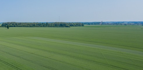 Vasarinių kviečių sėja 2021 m. pavasarį (I): nuo veislių parinkimo iki sėjos ypatumų