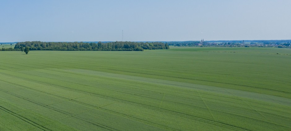 Vasarinių kviečių sėja 2021 m. pavasarį (I): nuo veislių parinkimo iki sėjos ypatumų