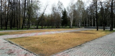 Vejos atgaivinimas po žiemos: ko trūksta žolei Vejos atgaivinimas po žiemos: ko trūksta žolei