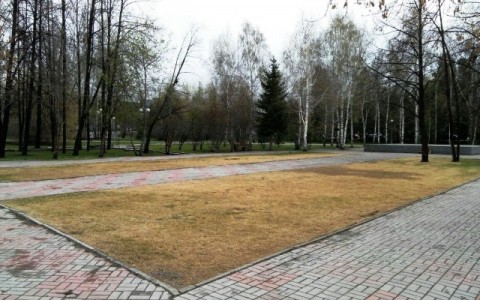 Vejos atgaivinimas po žiemos: ko trūksta žolei Vejos atgaivinimas po žiemos: ko trūksta žolei