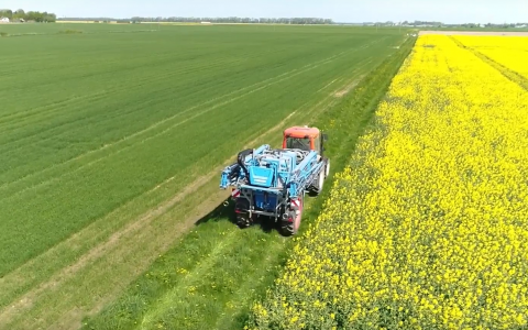 VIDEO patarimai: kaip apsaugoti žieminius rapsus nuo ligų ir kenkėjų VIDEO patarimai: kaip apsaugoti žieminius rapsus nuo ligų ir kenkėjų