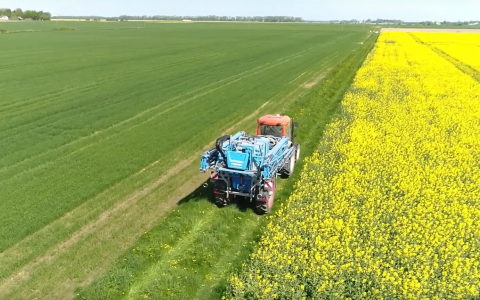 VIDEO patarimai: kaip apsaugoti žieminius rapsus nuo ligų ir kenkėjų