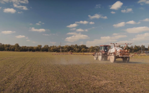 VIDEO patarimai: kodėl piktžoles kviečiuose verta sunaikinti rudenį? VIDEO patarimai: kodėl piktžoles kviečiuose verta sunaikinti rudenį?
