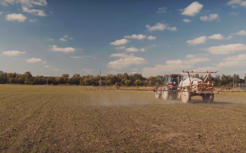 VIDEO patarimai: kodėl piktžoles kviečiuose verta sunaikinti rudenį?