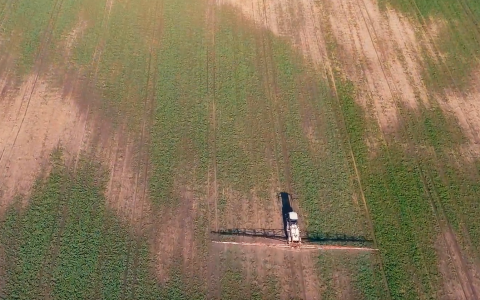 VIDEO patarimai: ruošiame rapsus žiemojimui VIDEO patarimai: ruošiame rapsus žiemojimui