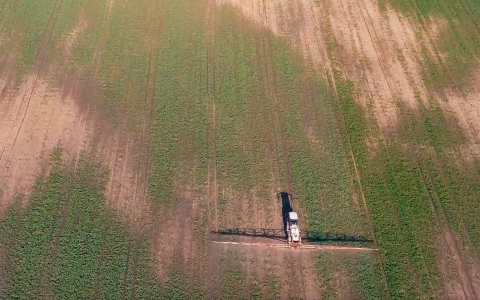 VIDEO patarimai: ruošiame rapsus žiemojimui