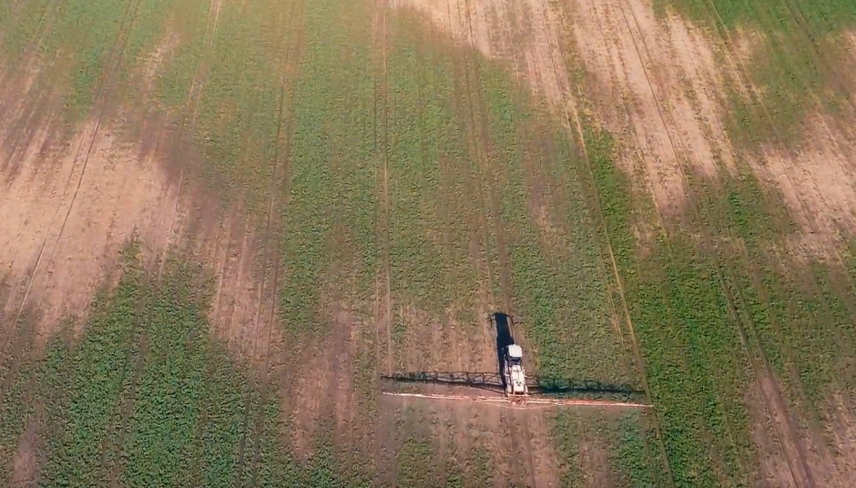 VIDEO patarimai: ruošiame rapsus žiemojimui