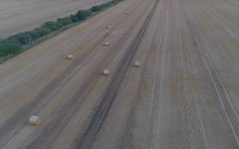 VIDEO patarimai: sėjame žieminius hibridinius miežius VIDEO patarimai: sėjame žieminius hibridinius miežius