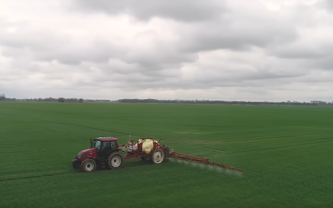 VIDEO patarimai: žieminių kviečių apsauga nuo išgulimo VIDEO patarimai: žieminių kviečių apsauga nuo išgulimo