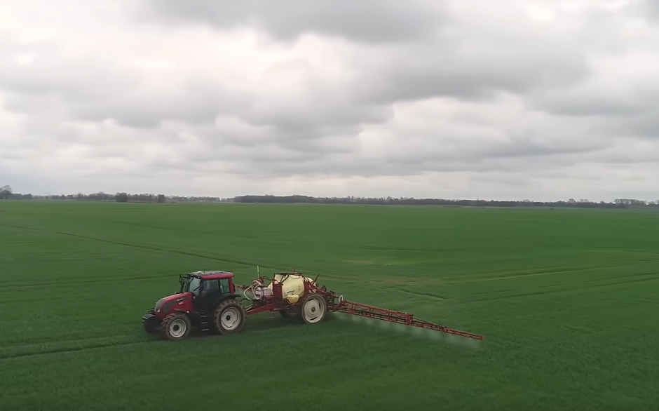 VIDEO patarimai: žieminių kviečių apsauga nuo išgulimo