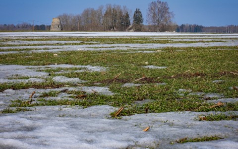 Viljainfo 12.nädal Viljainfo 12.nädal