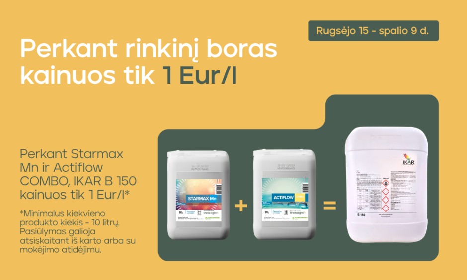 Žieminiams rapsams rudenį reikia sustiprinti šaknis ir pasiruošti žiemojimui!