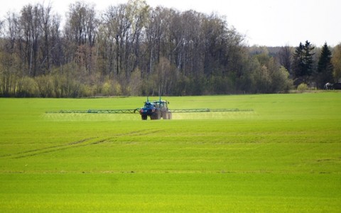 Žieminių javų pasėlių priežiūros darbai balandžiui baigiantis Žieminių javų pasėlių priežiūros darbai balandžiui baigiantis