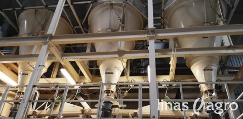 Žolių sėklos ruošiamos naujoje technologinėje linijoje Žolių sėklos ruošiamos naujoje technologinėje linijoje