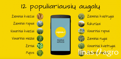 Parsisiųskite atnaujintą programėlę RapsaiLT technologijos! Parsisiųskite atnaujintą programėlę RapsaiLT technologijos!