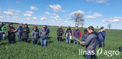 Pasėlių būklės apžvalga ir artimiausios REKOMENDACIJOS Pasėlių būklės apžvalga ir artimiausios REKOMENDACIJOS