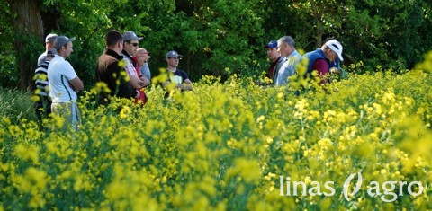 Pasėlių priežiūros aktualijos lauko dienoje Radviliškio rajone Pasėlių priežiūros aktualijos lauko dienoje Radviliškio rajone