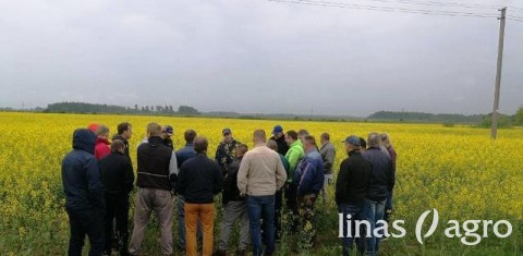 Pirmoji sezono lauko diena – Panevėžio rajone Pirmoji sezono lauko diena – Panevėžio rajone