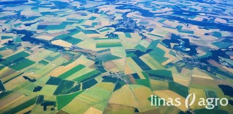 Pradedamas kasmetinis pasėlių deklaravimas Pradedamas kasmetinis pasėlių deklaravimas