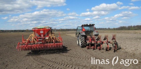 Sėjamųjų avižų auginimas Lietuvos ūkiuose: ką būtina žinoti Sėjamųjų avižų auginimas Lietuvos ūkiuose: ką būtina žinoti