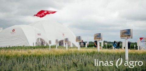 Susipažinkite - nauja vasarinių kviečių veislė FLIPPEN Susipažinkite - nauja vasarinių kviečių veislė FLIPPEN