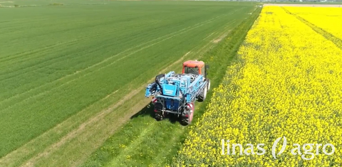 VIDEO patarimai: kaip apsaugoti žieminius rapsus nuo ligų ir kenkėjų VIDEO patarimai: kaip apsaugoti žieminius rapsus nuo ligų ir kenkėjų