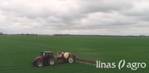 VIDEO patarimai: žieminių kviečių apsauga nuo išgulimo VIDEO patarimai: žieminių kviečių apsauga nuo išgulimo
