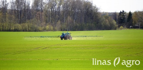Žieminių javų pasėlių priežiūros darbai balandžiui baigiantis Žieminių javų pasėlių priežiūros darbai balandžiui baigiantis