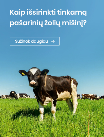 Pašarinių žolių mišiniai