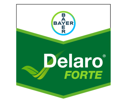Delaro Forte – uus innovatiivne fungitsiid teraviljade haigustõrjeks