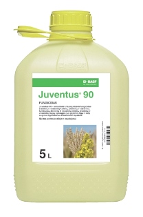 Juventus 90