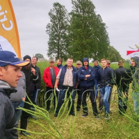 Lukšių laukuose - gero derliaus nuojauta Lukšių laukuose - gero derliaus nuojauta