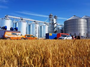 Rugpjūtį Kartenoje pradės veikti nauja „Linas Agro“ grūdų saugykla Rugpjūtį Kartenoje pradės veikti nauja „Linas Agro“ grūdų saugykla