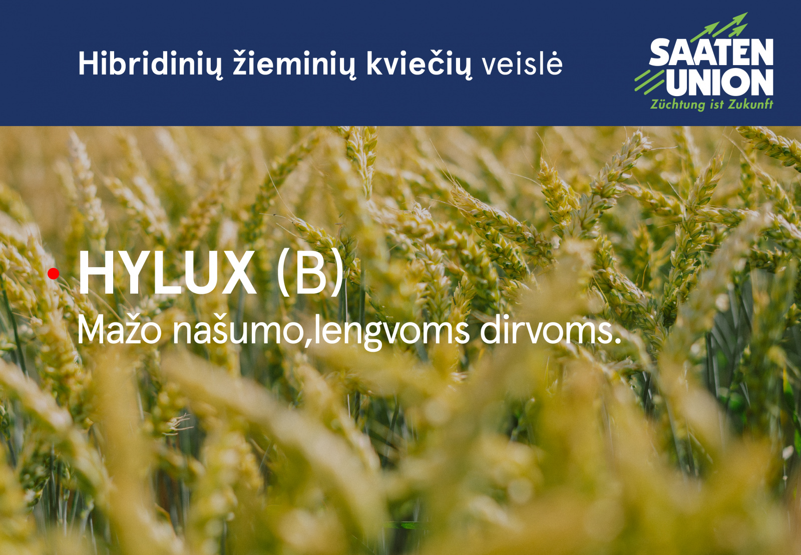 Forex ateities prekybos pavyzdys - Kviečių prekybos galimybės