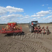 Žieminių kviečių sėjos ypatumai 2019 metų rudenį